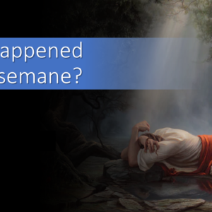 What Happened in Gethsemane?